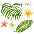 Symbols of summer vacations. Hand painted watercolor tropical exotic plants, leaves and flowers, isolated on white background Royalty Free Stock Photo