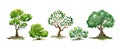 Watercolor summer trees, bush. Set of hand drawn green plants. Landscape.