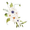 Watercolor summer white wild flower bouquet with greenery leaves foliage