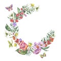 Watercolor Summer Wreath with Chamomile, Berries, Wildflowers Royalty Free Stock Photo