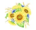 Watercolor sunflower bouquet with cornflowers and spikelets, hand drawn botanical illustration. Fall floral clipart Royalty Free Stock Photo