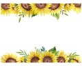 Watercolor Sunflower Frame. Sunflower Border. Floral Frame with Sunflowers and Leaves. White background. Watercolor floral. Royalty Free Stock Photo