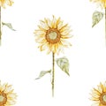 Watercolor sunflower pattern