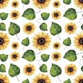 Watercolor Sunflower pattern, floral background.