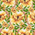 Watercolor sunflower in a seamless pattern  design Royalty Free Stock Photo