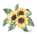Watercolor sunflowers bouquet with green leaves isolated