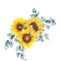 Watercolor sunflowers bouquet, hand painted sunflower bouquets, sunfower flower arrangement. Wedding invitation clipart elements. Royalty Free Stock Photo