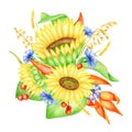 Watercolor sunflowers bouquet illustration. Hand painted yellow flowers, cornflowers, spikelets, red berries and leaves Royalty Free Stock Photo