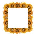 Watercolor sunflowers frame. Square frame with yellow flowers. Summer floral composition. Autumn flowers arrangement. Hand drawn Royalty Free Stock Photo