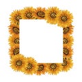 Watercolor sunflowers frame. Square frame with yellow flowers. Summer floral composition. Autumn flowers arrangement. Hand drawn Royalty Free Stock Photo