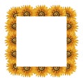 Watercolor sunflowers frame. Square frame with yellow flowers. Summer floral composition. Autumn flowers arrangement. Hand drawn Royalty Free Stock Photo