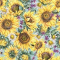 Watercolor sunflowers summer vintage seamless pattern. Natural yellow floral texture