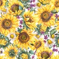 Watercolor sunflowers summer vintage seamless pattern. Natural yellow floral texture