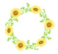 Watercolor sunflowers wreath illustration. Hand drawn round frame with bright yellow flowers and leaves isolated on Royalty Free Stock Photo