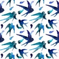 Watercolor swallows and feathers in seamless pattern Royalty Free Stock Photo