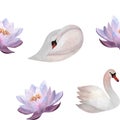 Watercolor swans purple waterlily seamless pattern Bird flower wrapping paper clothes baby decor 2024 wallpaper Print