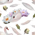 Watercolor swans waterlilies seamless pattern Birds feathers for wrapping paper clothes, baby decor 2024 wallpaper Print Royalty Free Stock Photo