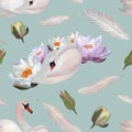 Watercolor swans waterlilies seamless pattern print with birds, flowers feathers Royalty Free Stock Photo