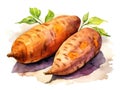 Watercolor Sweet Potato Isolated, Aquarelle Sweetpotato, Creative Watercolor Batata