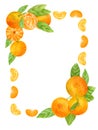 Watercolor tangerine frame. Hand drawn fruit design with oranges, slices and leaves. Citrus vertical template for banner