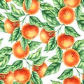 Watercolor tangerine hand-drawn seamless pattern Royalty Free Stock Photo