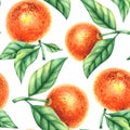 Watercolor tangerine hand-drawn seamless pattern Royalty Free Stock Photo