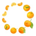 Watercolor tangerine round frame. Hand drawn fruit wreath with oranges, slices and leaves. Citrus template for banner