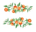 Watercolor tangerine round hand drawn wreath