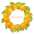 Watercolor tangerines with leaves wreath. Hand painted round citrus frame isolated on white background. Bright orange fruits.