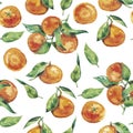 Watercolor tangerines seamless pattern. Fresh citrus fruit tangerine isolated on white background