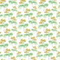Watercolor tansy herb. seamless pattern