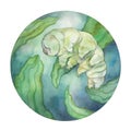 Watercolor tardigrade Water Bear. Underwater illustration in circle .