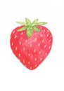 Watercolor tasty and ripe red strawberry Royalty Free Stock Photo
