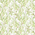 Watercolor Tea Tree Leaves, Flowers Seamless Pattern. Hand Drawn Botanical Illustration Of Melaleuca. Green Medicinal