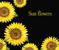 Watercolor template with sunflowers for invitations, fliers, cards