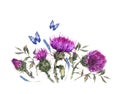 Watercolor thistle, blue butterflies, wild flowers illustration, meadow herbs vintage greeting card Royalty Free Stock Photo