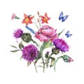 Watercolor thistle, poppy, blue butterflies, wild flowers illustration, meadow herbs Royalty Free Stock Photo