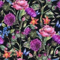 Watercolor thistle, poppy, blue butterflies, wild flowers seamless pattern, meadow herbs Royalty Free Stock Photo