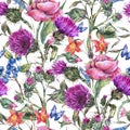 Watercolor thistle, poppy, blue butterflies, wild flowers seamless pattern, meadow herbs Royalty Free Stock Photo