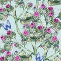 Watercolor thistle seamles pattern with blue butterflies, wild flowers, meadow herbs