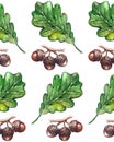 Watercolor three oak green leaf acorn seed seamless pattern background