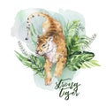 Watercolor tiger illustration and summer paradise tropical leaves jungle print. Palm plant and flower isolated o white.