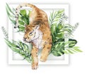 Watercolor tiger illustration and summer paradise tropical leaves jungle print with frame. Palm plant and flower