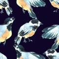 Watercolor tit birds illustration. Hand painted seamless pattern.