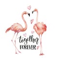 Watercolor Together forever card. Hand painted Flamingo couple with hearts and lettering isolated on white background Royalty Free Stock Photo