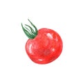 Watercolor tomato cherry isolated on white background
