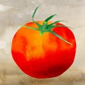 Watercolor tomato illustration with background