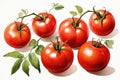 watercolor tomatoes isolated on white , AI Generated