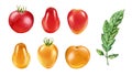 Watercolor tomatoes. Ripe cherries collection of different colours and shapes. Realistic botanical painting with fresh