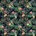 Watercolor toucan and parrot seamless pattern. Hand painted illustration with bird, protea and palm leaves isolated on